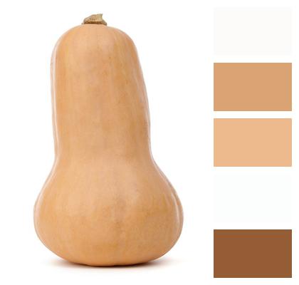 Butternut Squash Autumn Diet Image